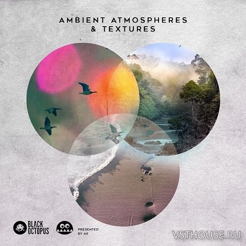 Black Octopus Sound - Ambient Atmospheres and Textures by AK