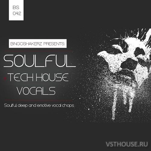 Bingoshakerz - Variavision Soulful And Tech House Vocal Bingoshakerz - Variavision Soulful And Tech House Vocal
