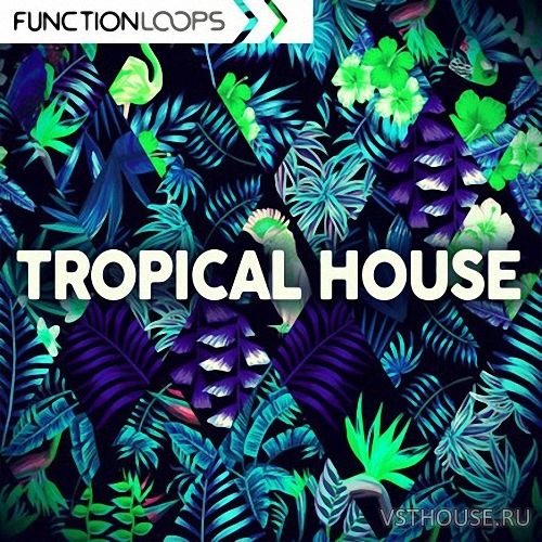 Function Loops - Tropical House Function Loops - Tropical House