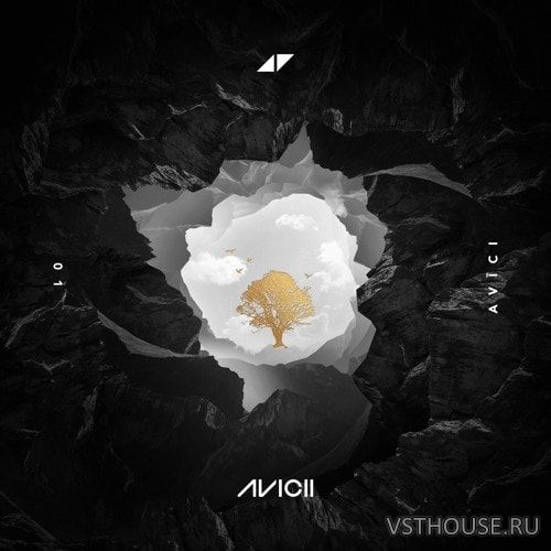 Avicii – Without You feat. Sandro Cavazza (Remix Stems) Avicii – Without You feat. Sandro Cavazza (Remix Stems)