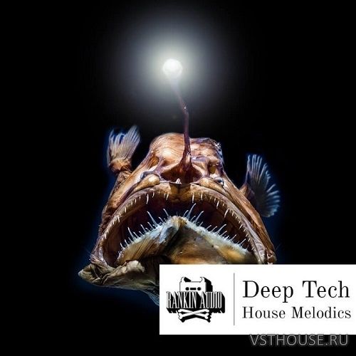Rankin Audio - Deep Tech House Melodics (MIDI, WAV)