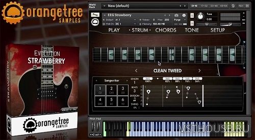 Orange Tree Samples - Evolution Strawberry v1.1.62 UPDATE (KONTAKT)