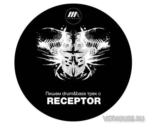 Tramplin - Drum&Bass Producer (Receptor) Tramplin - Drum&Bass Producer (Receptor)