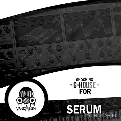 Vandalism - Shocking G-House For XFER RECORDS SERUM (SYNTH PRESET) Vandalism - Shocking G-House For XFER RECORDS SERUM (SYNTH PRESET)