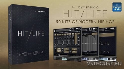 Big Fish Audio - Hit Life 2 Modern Hip Hop (KONTAKT) Big Fish Audio - Hit Life 2 Modern Hip Hop (KONTAKT)