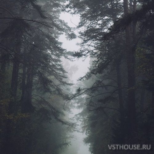 Tontario - Second Nature (WAV) Tontario - Second Nature (WAV)