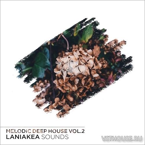 Laniakea Sounds - Melodic Deep House Vol 2 (MIDI, WAV, MASSIVE) Laniakea Sounds - Melodic Deep House Vol 2 (MIDI, WAV, MASSIVE)