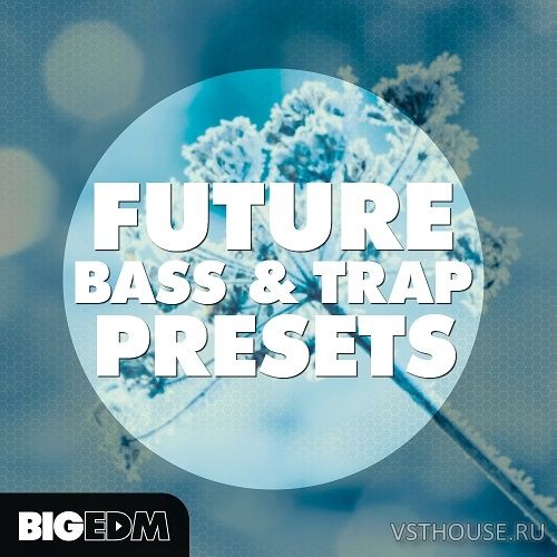 Big EDM - Future Bass & Trap Presets (SYNTH PRESET) Big EDM - Future Bass & Trap Presets (SYNTH PRESET)