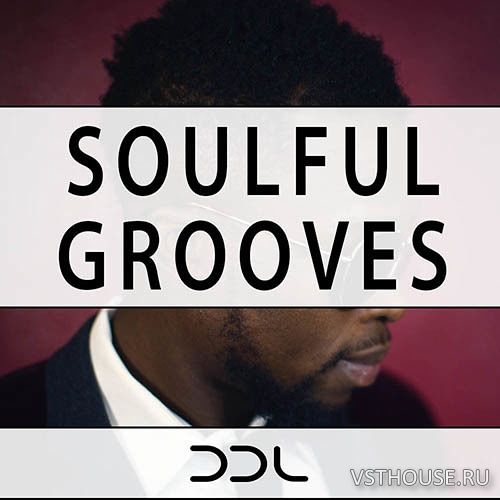 Deep Data Loops - Soulful Grooves (WAV, MIDI) Deep Data Loops - Soulful Grooves (WAV, MIDI)