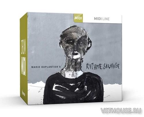 Toontrack - Rythme Sauvage MIDI Toontrack - Rythme Sauvage MIDI