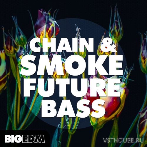 Big EDM - Chain And Smoke Future Bass (WAV, MIDI, SERUM) Big EDM - Chain And Smoke Future Bass (WAV, MIDI, SERUM)