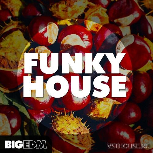 Big EDM - Funky House (WAV, MIDI, SPiRE) Big EDM - Funky House (WAV, MIDI, SPiRE)