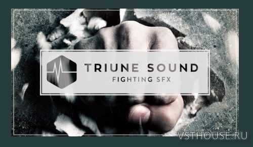 Triune Store - Triune Sound Fighting SFX (WAV) Triune Store - Triune Sound Fighting SFX (WAV)