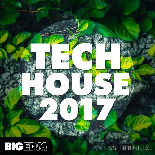 Big EDM - Tech House 2017 (WAV, MIDI, SERUM)