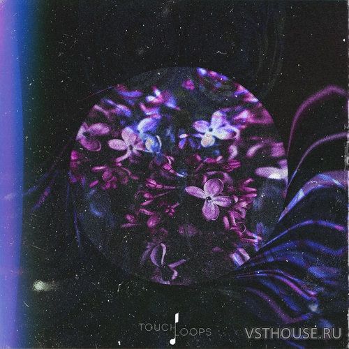 Touch Loops - Organic House (WAV, MIDI)