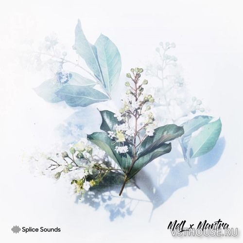 Splice - MdL x Mantra Sample Pack (WAV)