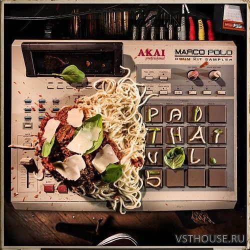 Marco Polo - Pad Thai Vol.5 (WAV) Marco Polo - Pad Thai Vol.5 (WAV)