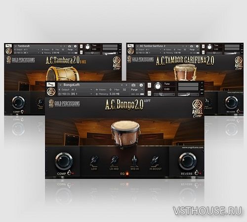 Angel Cano - Gold Percussions (KONTAKT) Angel Cano - Gold Percussions (KONTAKT)
