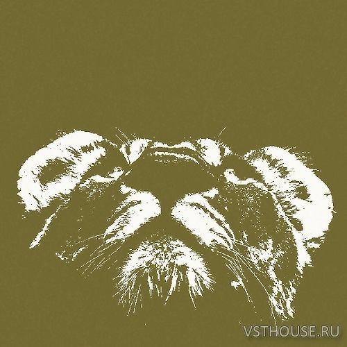 Two Track Sound - Dub Ballistics (WAV)