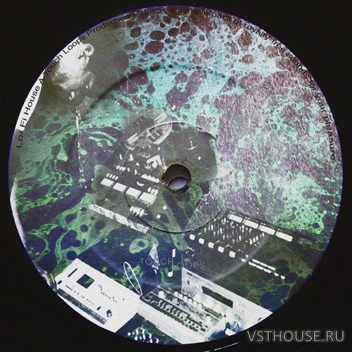 Touch Loops - Lo-Fi House (WAV)