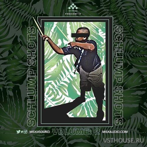 MSXII Sound - Design Schlump Shots Vol.2 (WAV) MSXII Sound - Design Schlump Shots Vol.2 (WAV)