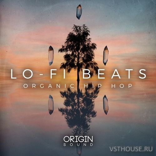 Origin Sound - Lo Fi Beats Organic Hip Hop (WAV, MIDI) Origin Sound - Lo Fi Beats Organic Hip Hop (WAV, MIDI)