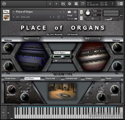 LM Sounds - Place Of Organs (KONTAKT) LM Sounds - Place Of Organs (KONTAKT)