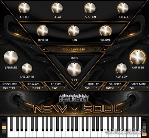 NewLineVST - New Soul plug-in 1.0 VSTi x86 x64 NewLineVST - New Soul plug-in 1.0 VSTi x86 x64
