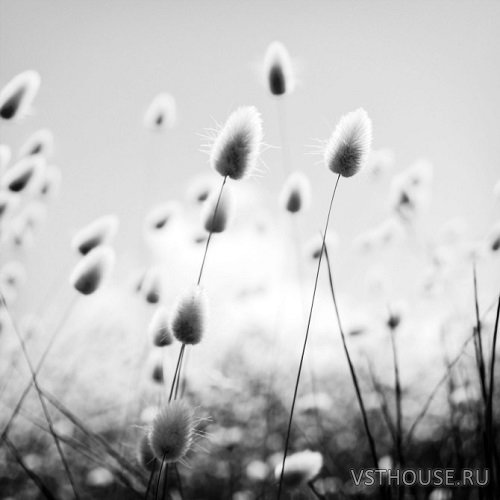 Samplephonics - Nordic Pop Samplephonics - Nordic Pop