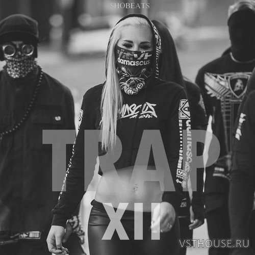 SHOBEATS - TRAP XII (Sound Kits) (WAV, MIDI, FXP, FXB) SHOBEATS - TRAP XII (Sound Kits) (WAV, MIDI, FXP, FXB)