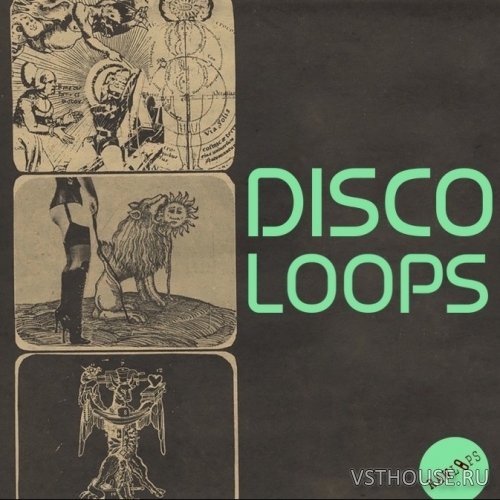RAW LOOPS - Disco Loops (WAV) RAW LOOPS - Disco Loops (WAV)
