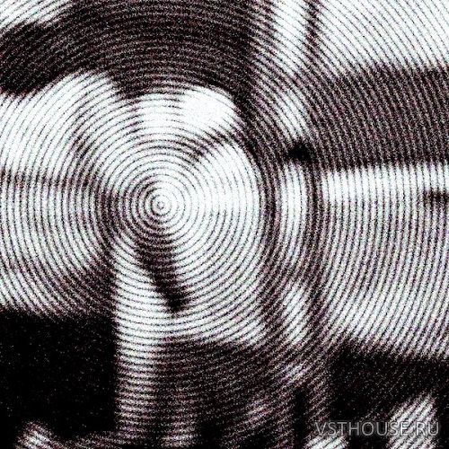 Distant Animals - Dichotomies (WAV)