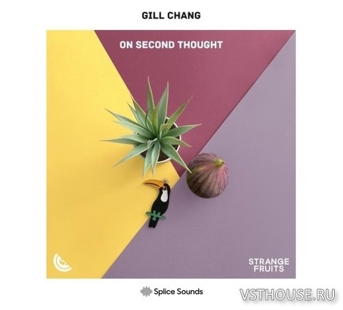 Splice Sounds - Gill Chang On Second Thought (WAV) Splice Sounds - Gill Chang On Second Thought (WAV)