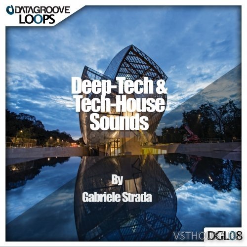 Datagroove Loops - DeepTech & Tech-House Sounds by Gabriele Strada Datagroove Loops - DeepTech & Tech-House Sounds by Gabriele Strada
