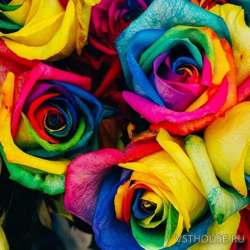 Happy Dagger - Psychedelic Rock (WAV)