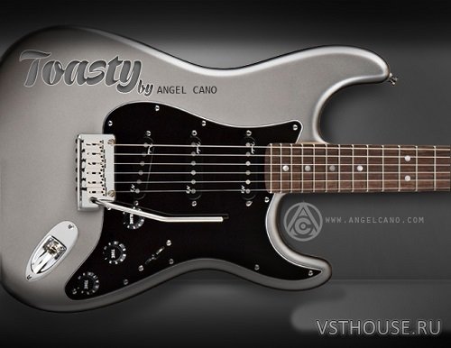 Angel Cano - Toasty v1.03 (KONTAKT)