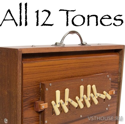 Alex Xander Jacobs - Shruti Box Drone (KONTAKT) Alex Xander Jacobs - Shruti Box Drone (KONTAKT)