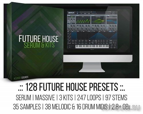 Surge Sounds - Future House (MIDI, WAV, SERUM, MASSIVE) Surge Sounds - Future House (MIDI, WAV, SERUM, MASSIVE)
