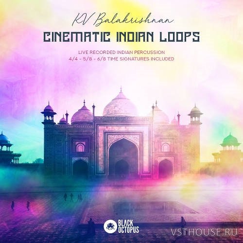 Black Octopus Sound - Cinematic Indian Loops (WAV)