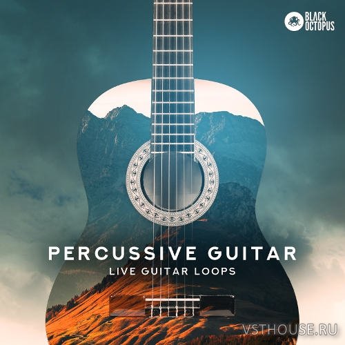Black Octopus Sound - Percussive Guitar (WAV)