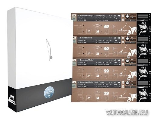 Muletone Audio - Brazilian Series Berimbau (KONTAKT)