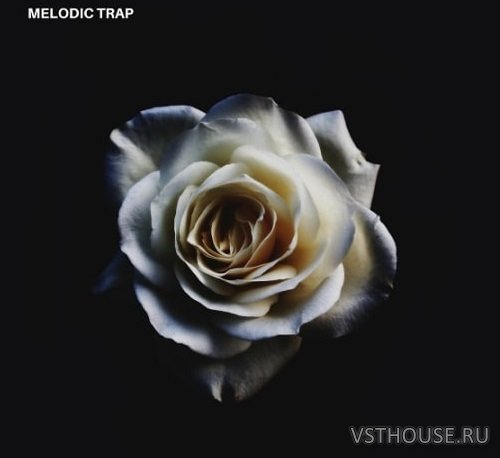 Splice Sounds - Modern Samples - Melodic Trap (WAV) Splice Sounds - Modern Samples - Melodic Trap (WAV)