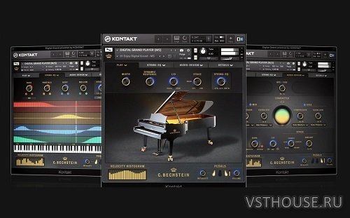 Bechstein Digital - C. Bechstein Digital Grand v1.2.0 (ONLY UPDATE) Bechstein Digital - C. Bechstein Digital Grand v1.2.0 (ONLY UPDATE)