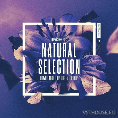 Loopmasters - Natural Selection (REX2, WAV)