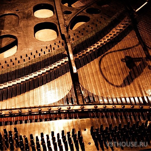 Detunized- Rolfing Laid Back Vol.1 (ALP LIVE) Detunized- Rolfing Laid Back Vol.1 (ALP LIVE)