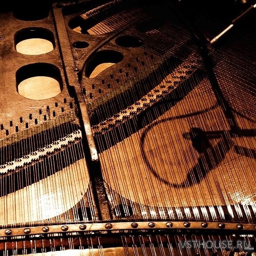 Detunized - Rolfing Laid Back Vol.1 (KONTAKT)