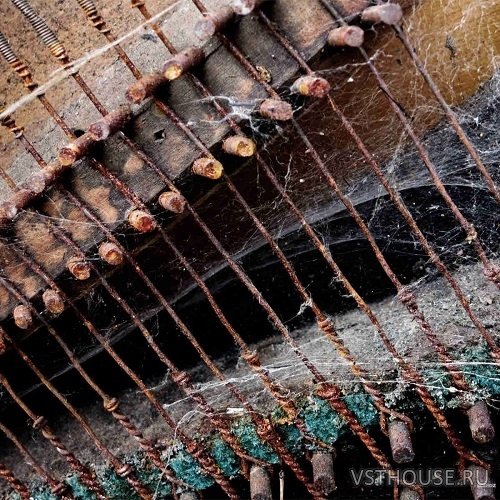 Detunized - Rolfing 3 (KONTAKT)