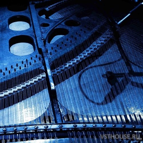 Detunized - Rolfing Laid Back Vol.2 (KONTAKT)