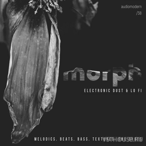 Audiomodern - Morph (WAV) Audiomodern - Morph (WAV)