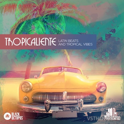 Black Octopus Sound - Tropicaliente by Basement Freaks (MIDI, WAV)